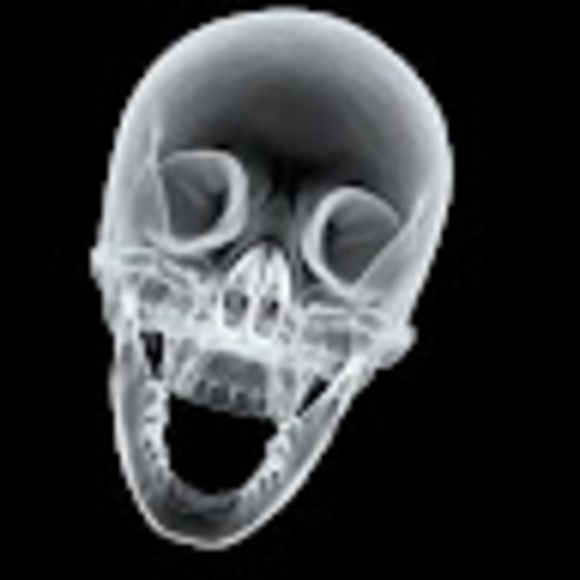 Meet your Posher, Dizzy - Picture 1 of 1